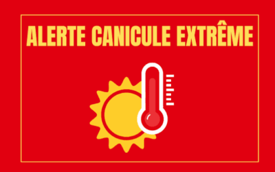 Alerte canicule
